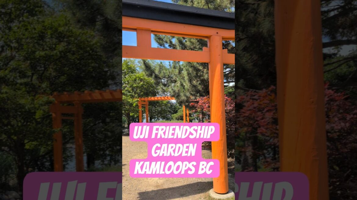 Uji Friendship Garden, Kamloops BC #japanesegarden #garden #kamloops #uji #japanese #britishcolumbia