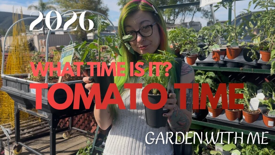 Starting An Edible Container Garden | Small Space Gardening 2026