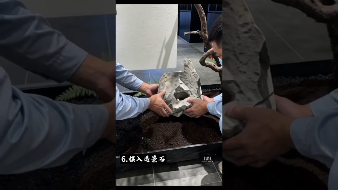 Planting trees in the passageway #SpaceDesign #gardendesign #garden #plants Planting trees in the passageway #SpaceDesign #gardendesign #garden #plants