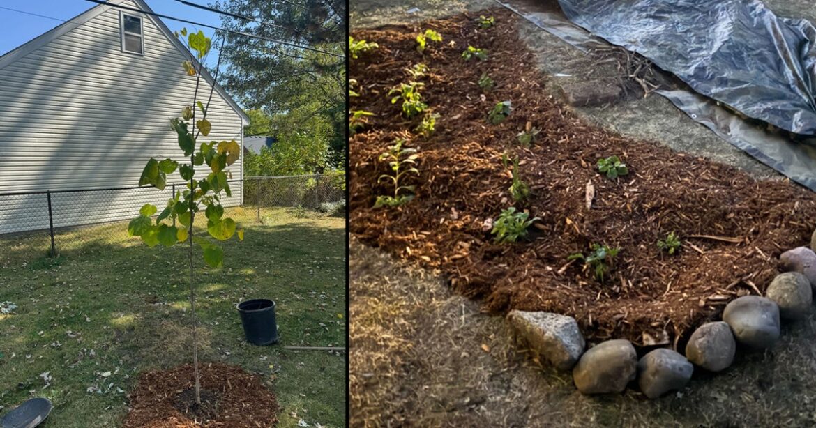Oakland County’s RainSmart Rebates returns to help more residents install rain barrels, gardens, and trees Oakland County's RainSmart Rebates returns to help more residents install rain barrels, gardens, and trees