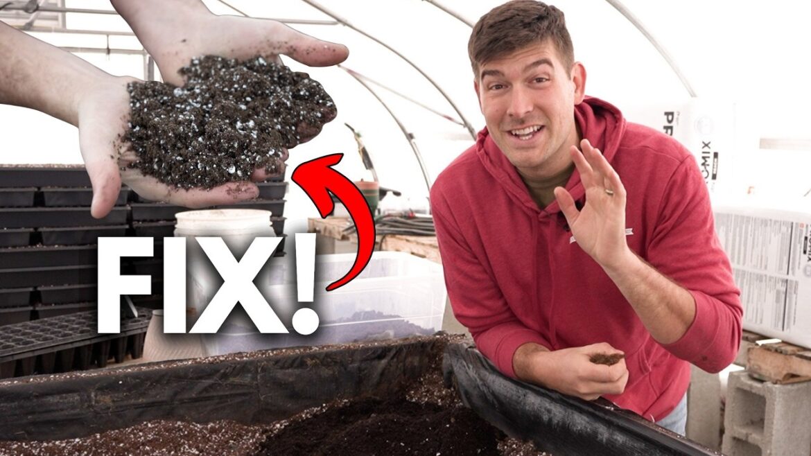 MIgardener: This Seed Starting Fix Takes You From Amateur to PRO! This Seed Starting Fix Takes You From Amateur to PRO!