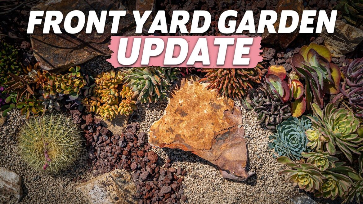 UPDATE! My Front Yard Succulent Garden UPDATE! My Front Yard Succulent Garden