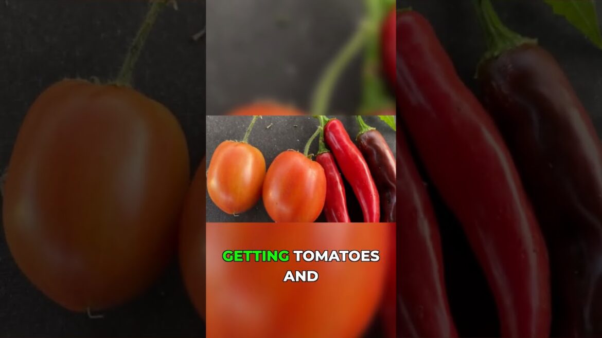 Edible Weeds & Banana Plant Protection! 🍌