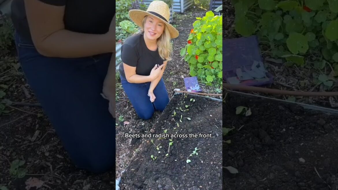 Vertical gardening hack for autumn vegetables #EarthDay #Gardening #GrowYourOwnFood Vertical gardening hack for autumn vegetables #EarthDay #Gardening #GrowYourOwnFood