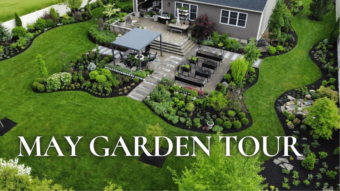 May Garden Tour 2025 🌿 Our Full Spring Walkthrough with Design Updates & Plant Names! May Garden Tour 2025 🌿 Our Full Spring Walkthrough with Design Updates & Plant Names!
