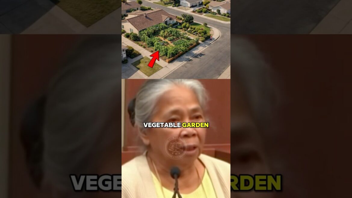 HOA Demanded She DESTROY Her 30 Year Garden! 😱 HOA Demanded She DESTROY Her 30 Year Garden! 😱