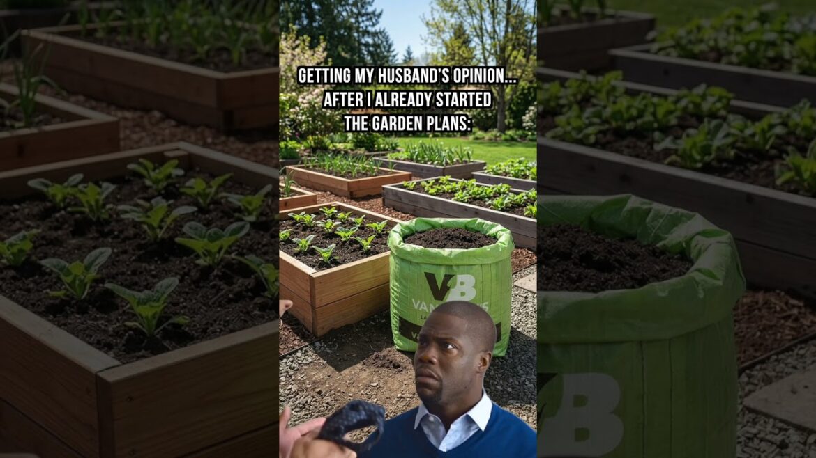 Step 1: Plan the garden Step 2: Order the soil from Van Beek’s Step 3: Ask for opinions later 😂 Sp Step 1: Plan the garden Step 2: Order the soil from Van Beek’s Step 3: Ask for opinions later 😂 Sp