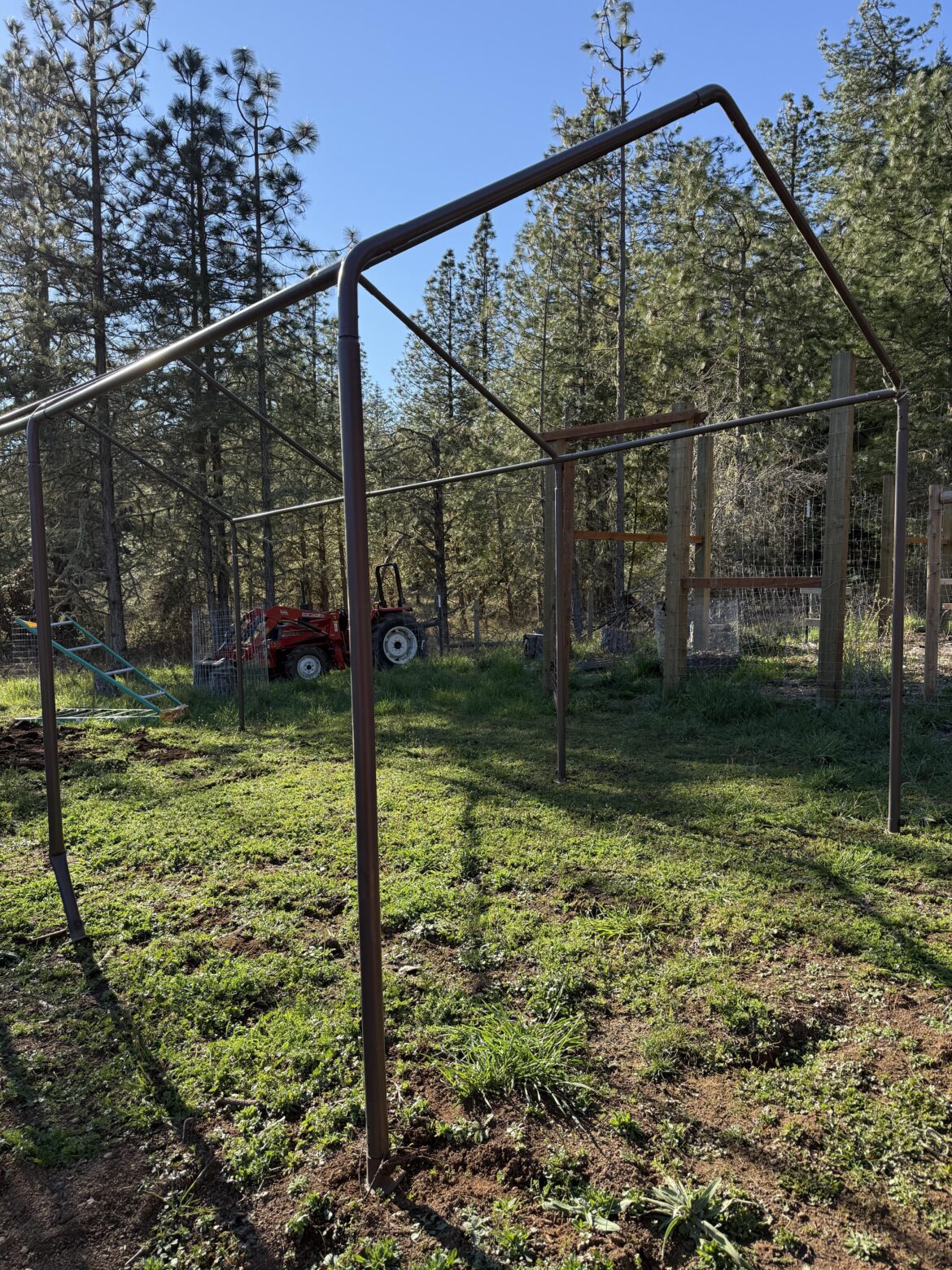 I have an old carport frame I’d like to convert to a greenhouse, need tips.