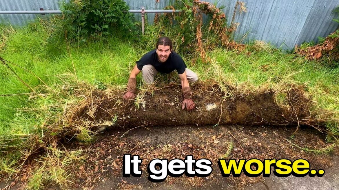 You Won't Believe What I Found Under This - The Landlord Was Stepping In!