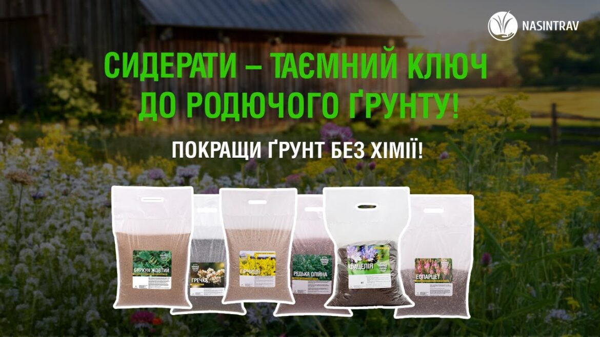 Сидерати, трохи про кожен сорт сидератів у відео.