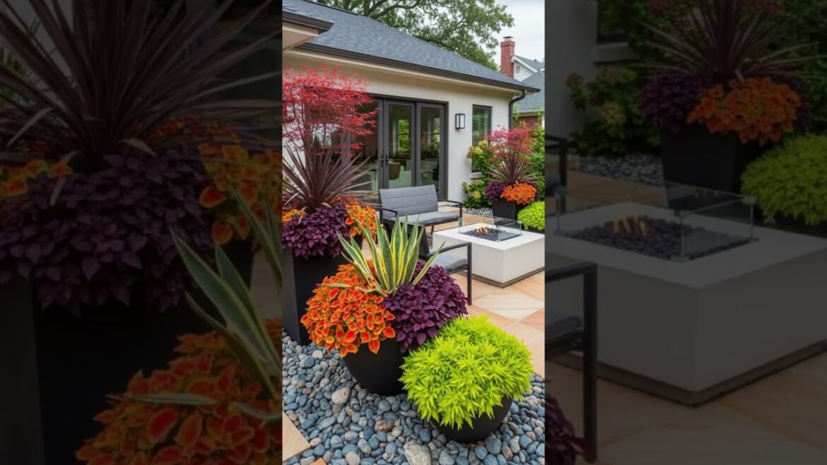 Transform Your Small Backyard into a Modern Oasis | Stunning Garden Trends