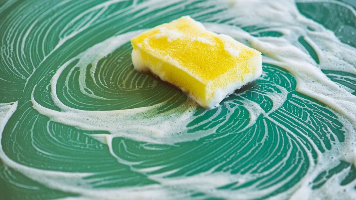 Households urged to place sponges in their gardens this spring Daily Mirror