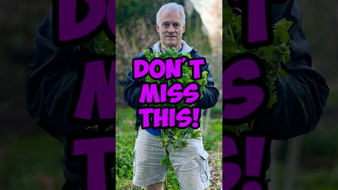 Don’t Pull That Weed!