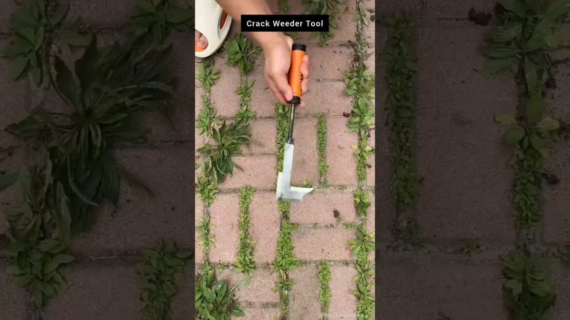 L-Shaped Stainless Steel Crack and Crevice Weeding Tool. #gardening #gardentools #diy #relatable