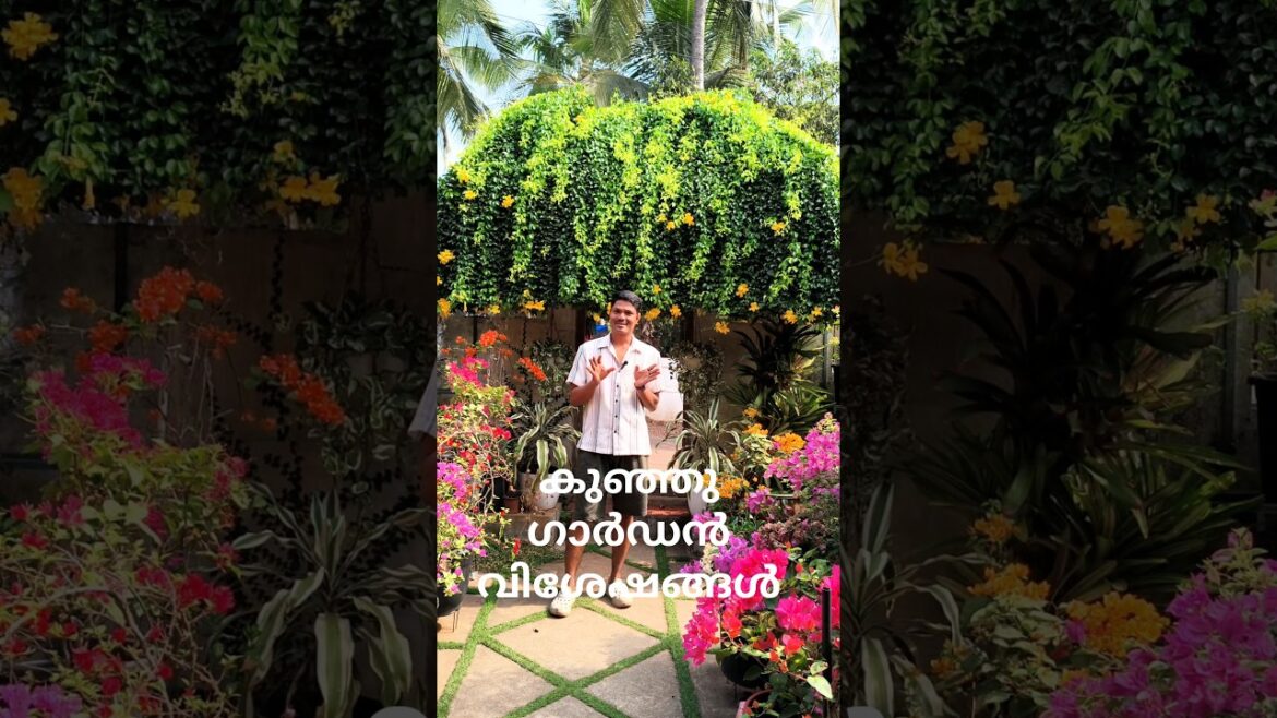 കുറച്ചു ഗാർഡൻ വിശേഷങ്ങൾ ആയാലോ #greenvibes #greenvibesaji #gardening