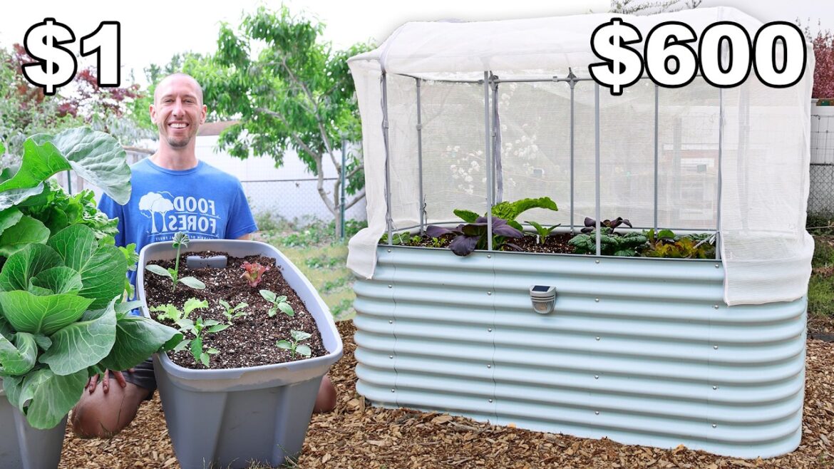 James Prigioni: $1 vs $600 Raised Bed! $1 vs $600 Raised Bed!