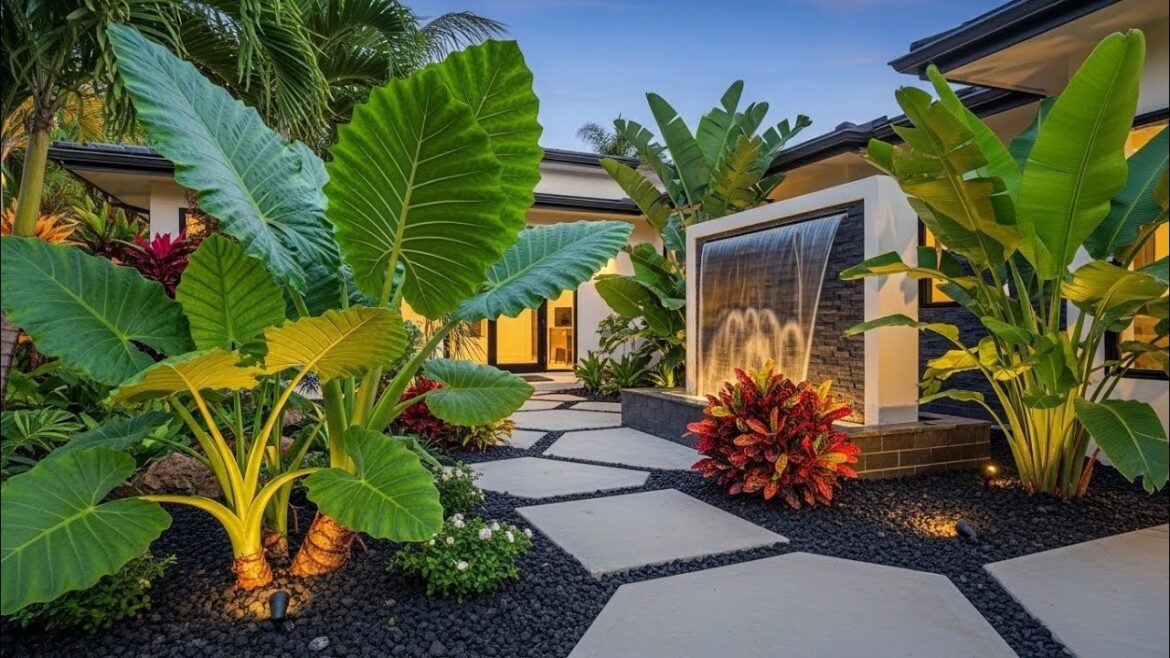 Modern Front Yard Landscaping Ideas; Latest Display 👌