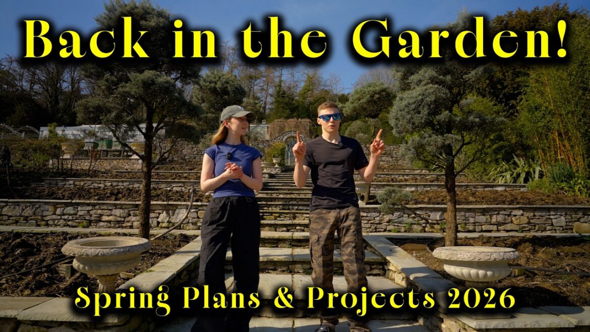 Spring Garden Plans & Projects! Spring Garden Plans & Projects!
