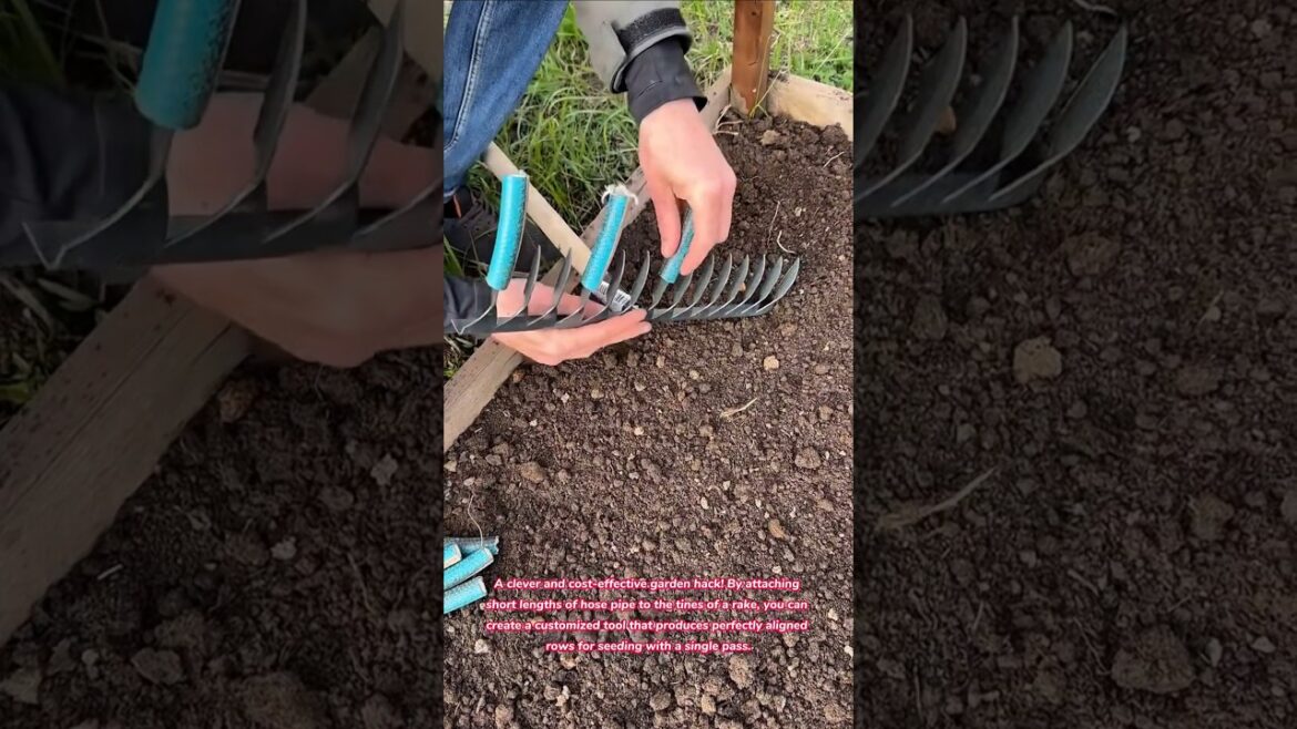 Genius Garden Hack! 🌿 DIY Tool for Perfect Seed Rows #garden #gardening #home #diy #tools #tips #how