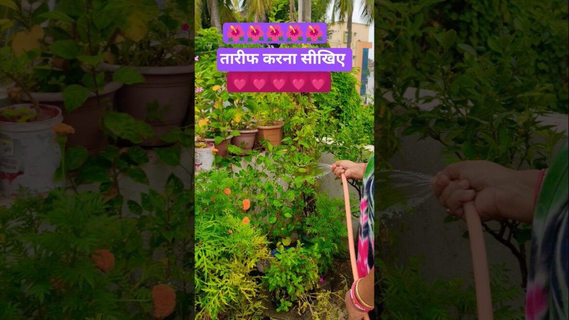 Terrace gardening #shorts # trends