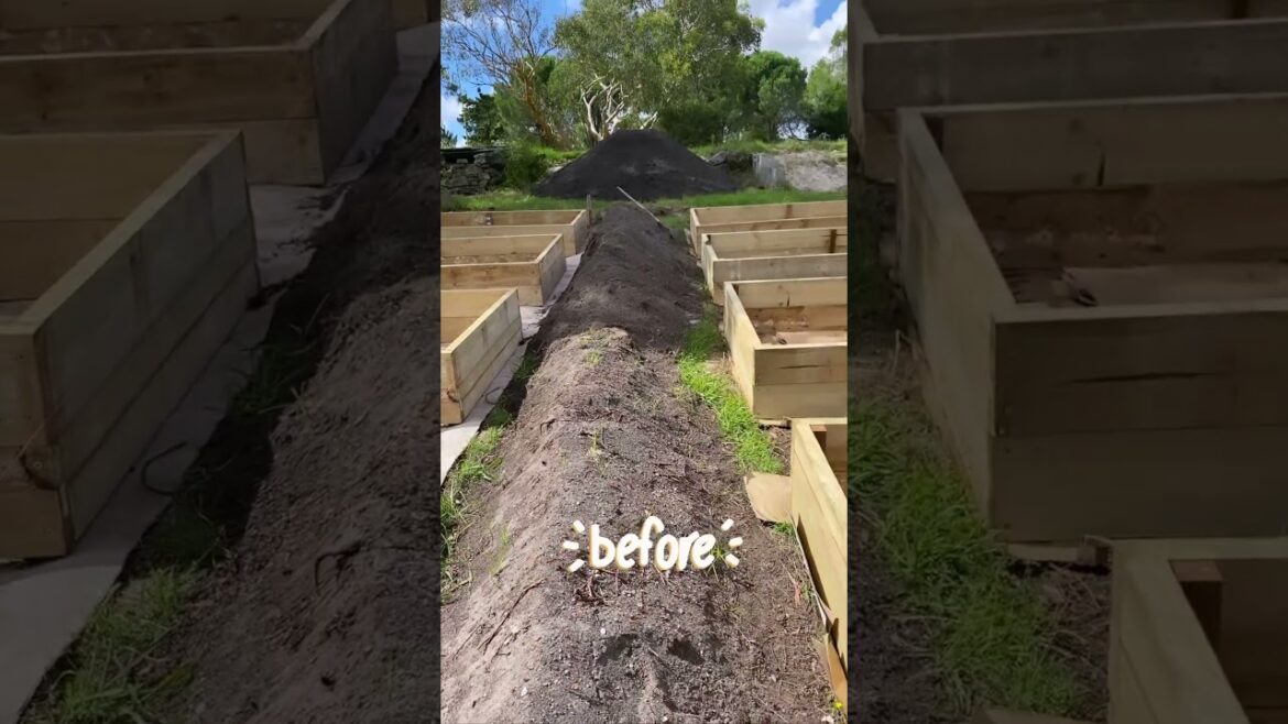 I Built a Year-Round Edible Garden… But Nothing Beats THIS! I Built a Year-Round Edible Garden… But Nothing Beats THIS!