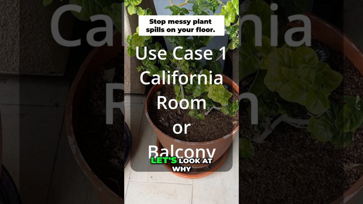 California Gardening: Stop Messy Plant Spills! GreenStalk Ultimate Mover Review & Demo Stop Messy Plant Spills! GreenStalk Ultimate Mover Review & Demo