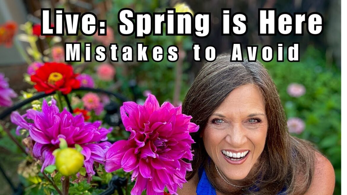 CaliKim: 🌻LIVE: Spring is HERE! Gardening Mistakes to Avoid for a Successful Season 🌻LIVE: Spring is HERE! Gardening Mistakes to Avoid for a Successful Season