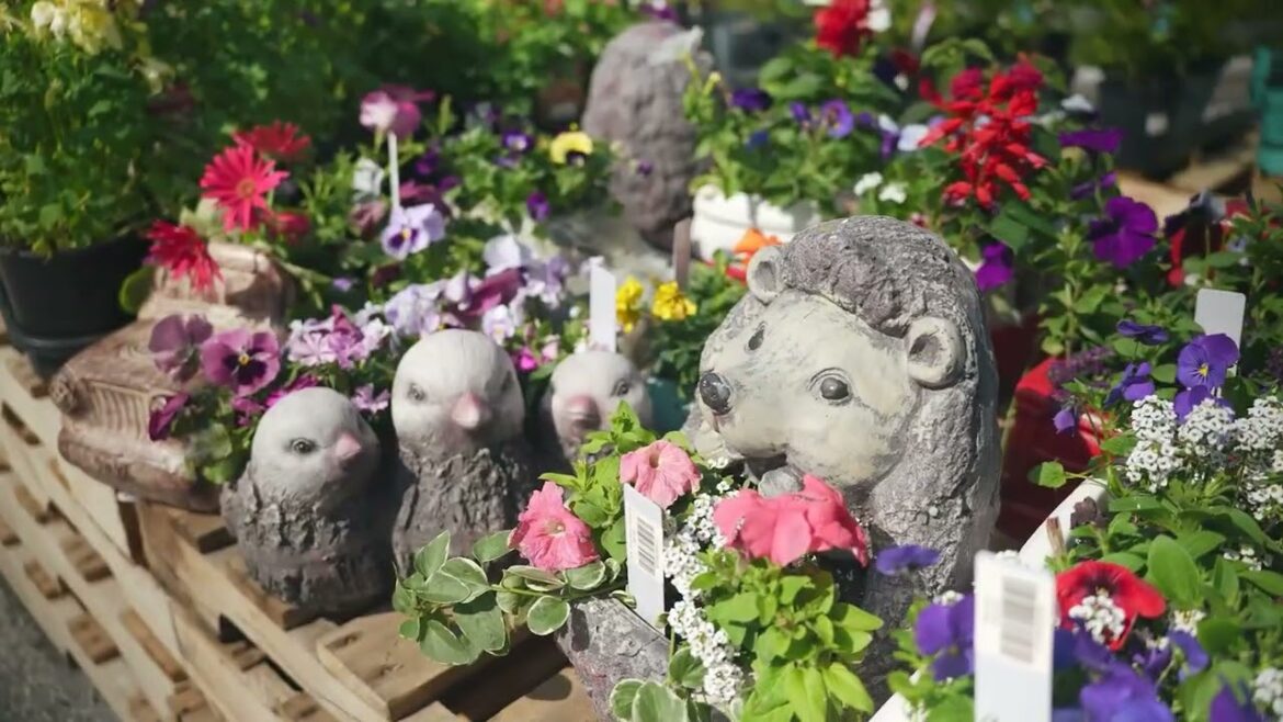 Blue Seal Farm & Home | Premium Lawn & Garden Supplies, Plants & Expert Advice