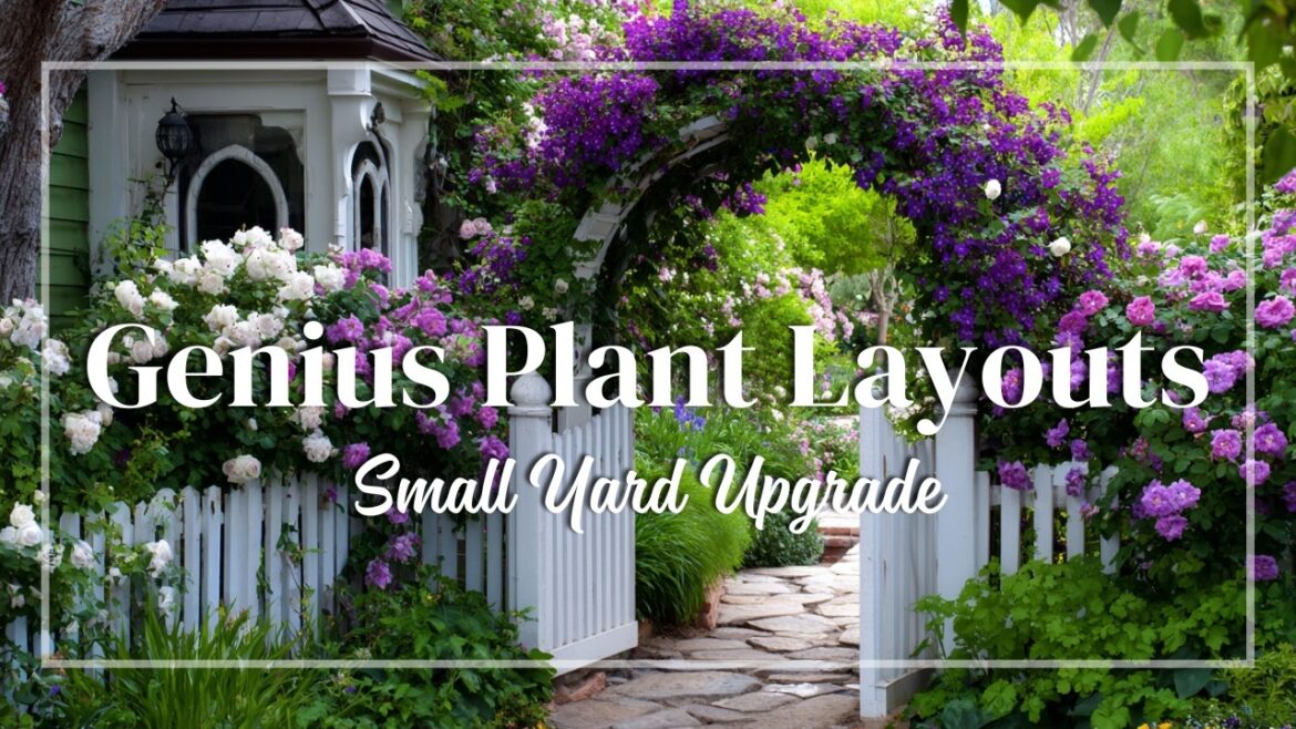 Brilliant Small Front Yard Landscaping Ideas | Genius Plant Layouts That Instantly Boost Curb Appeal Brilliant Small Front Yard Landscaping Ideas | Genius Plant Layouts That Instantly Boost Curb Appeal
