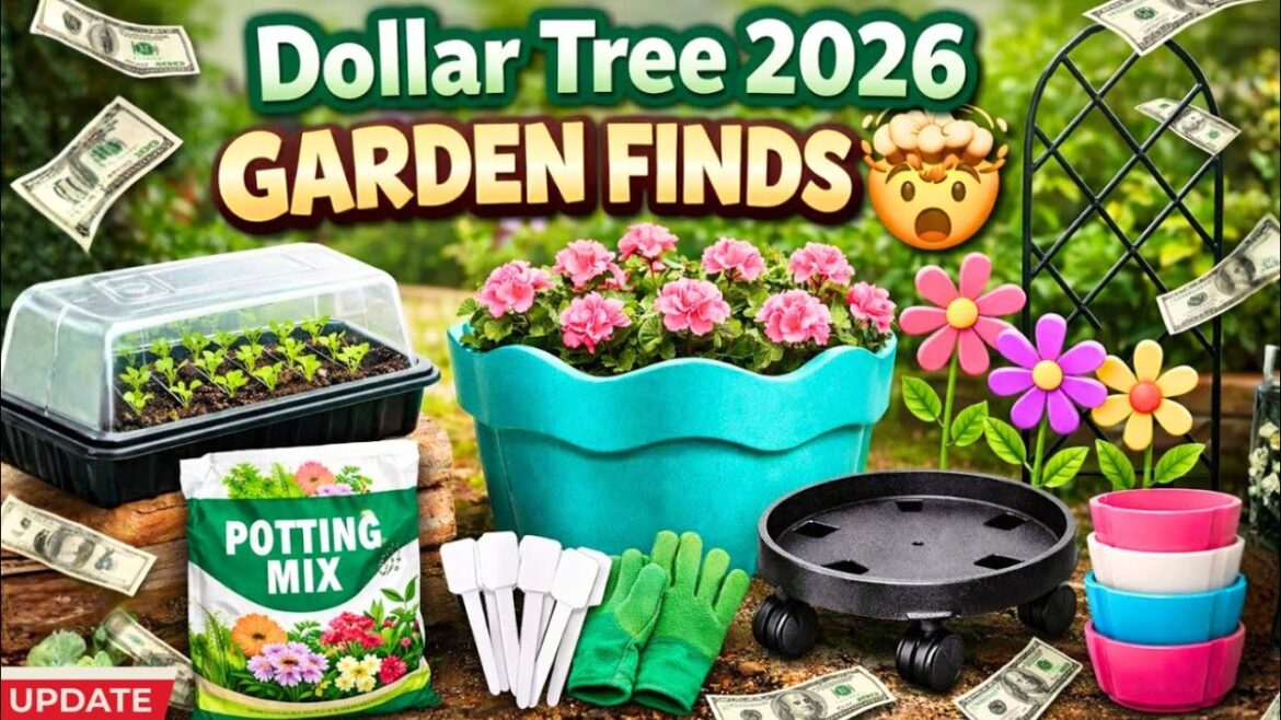 10 NEW Dollar Tree Garden Finds That Actually Work (Spring 2026) 10 NEW Dollar Tree Garden Finds That Actually Work (Spring 2026)