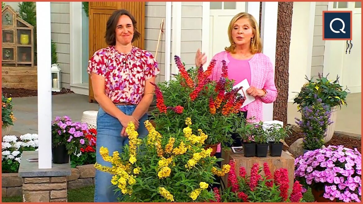 Gardening Made Easy by Cottage Farms | QVC