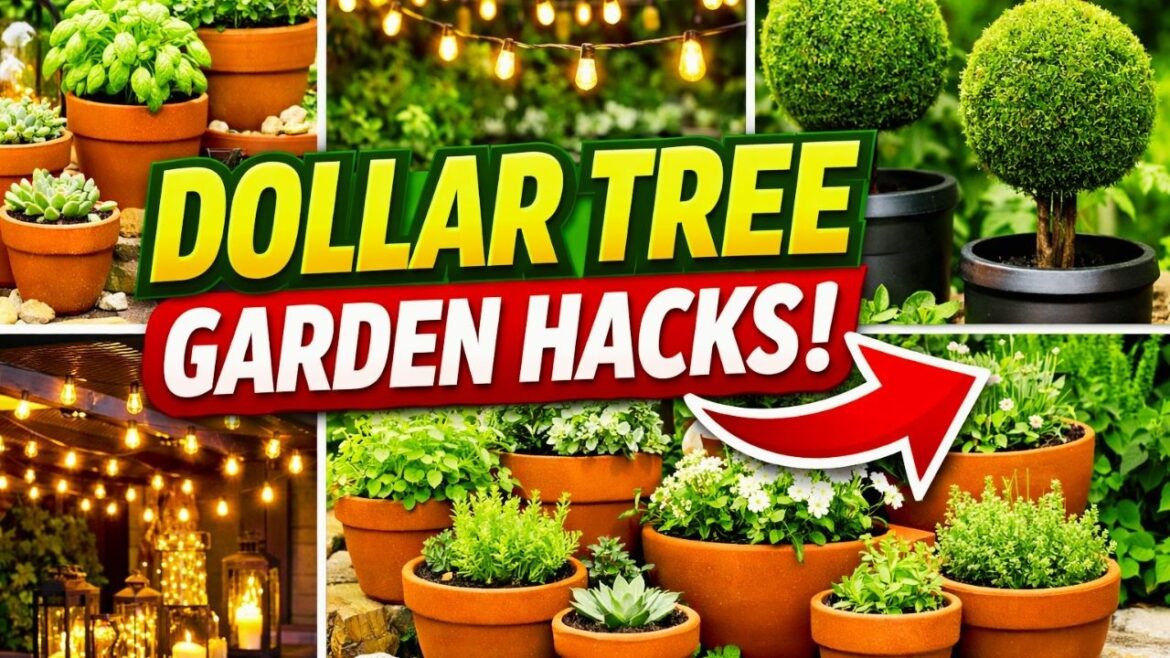 ✨ I Transformed My Garden with Cheap Summer Dollar Tree DIYs That Look EXPENSIVE - Will SHOCK You! 💰