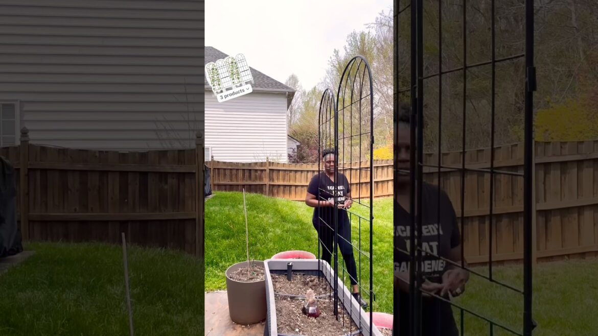 How to Hide Your Garden from Nosey Neighbors! π How to Hide Your Garden from Nosey Neighbors! π