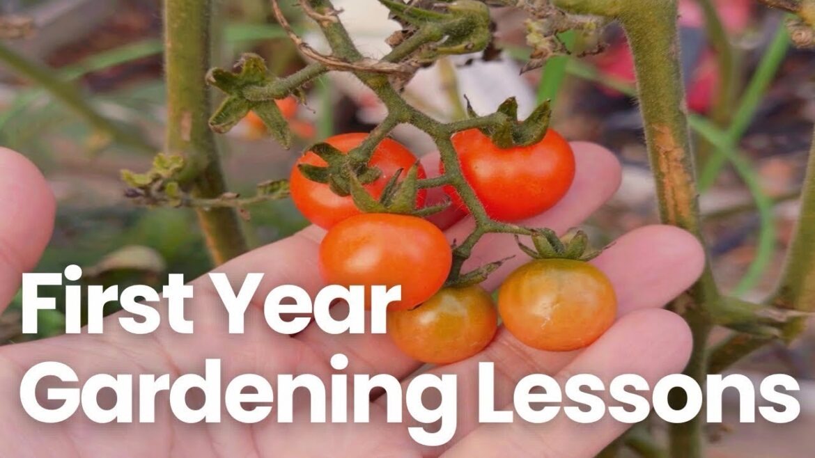 20 Gardening Lessons/Tips from a First Year Gardener (zone 9A/8B)