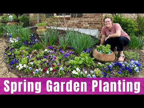 Spring Garden Planting In The Front Yard π· || Planting Annuals, Fertilizing Perennials, & Pruning Spring Garden Planting In The Front Yard π· || Planting Annuals, Fertilizing Perennials, & Pruning