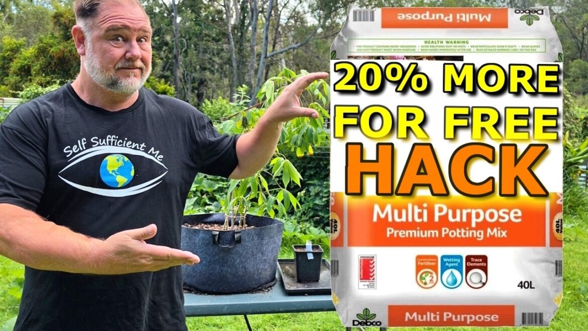 Improve Potting Mix and SAVE Money With This Simple Trick Improve Potting Mix and SAVE Money With This Simple Trick
