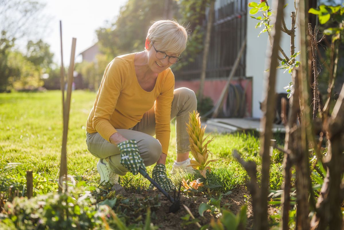 Happy senior woman gardening in her yard. She is using rake.