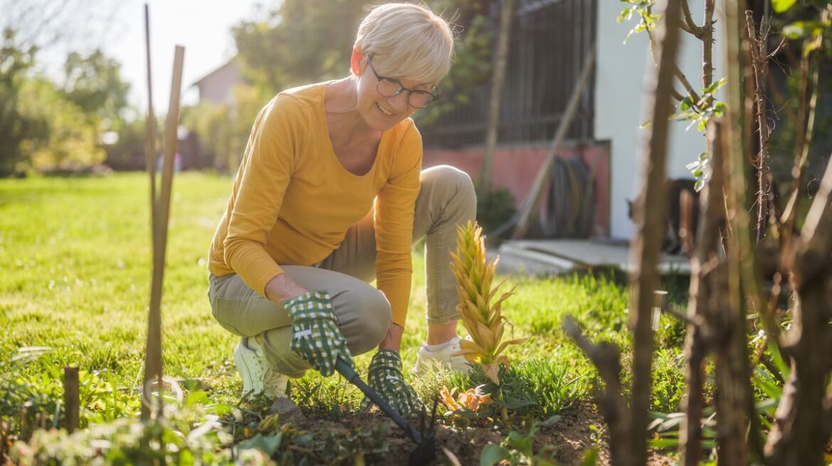 One 35p kitchen item can tackle 4 different gardening jobs this spring Daily Record