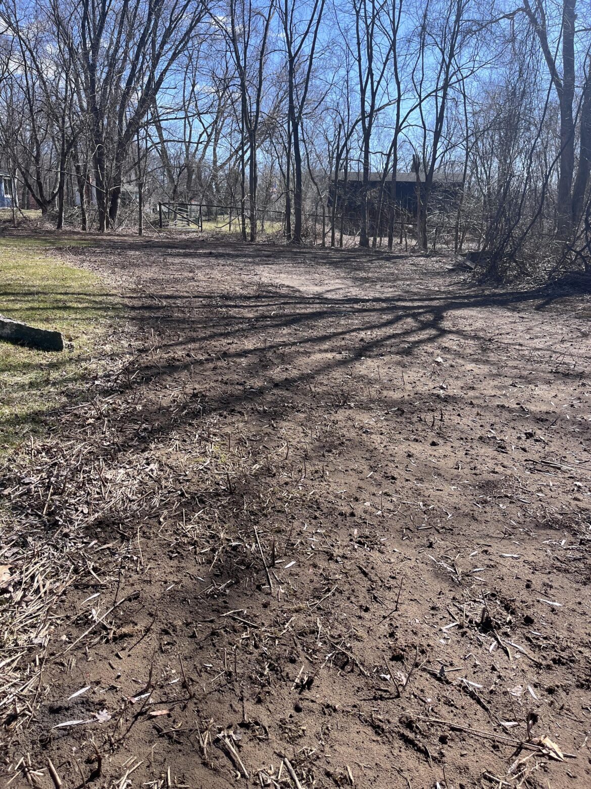 Advice before planting grass seed Advice before planting grass seed