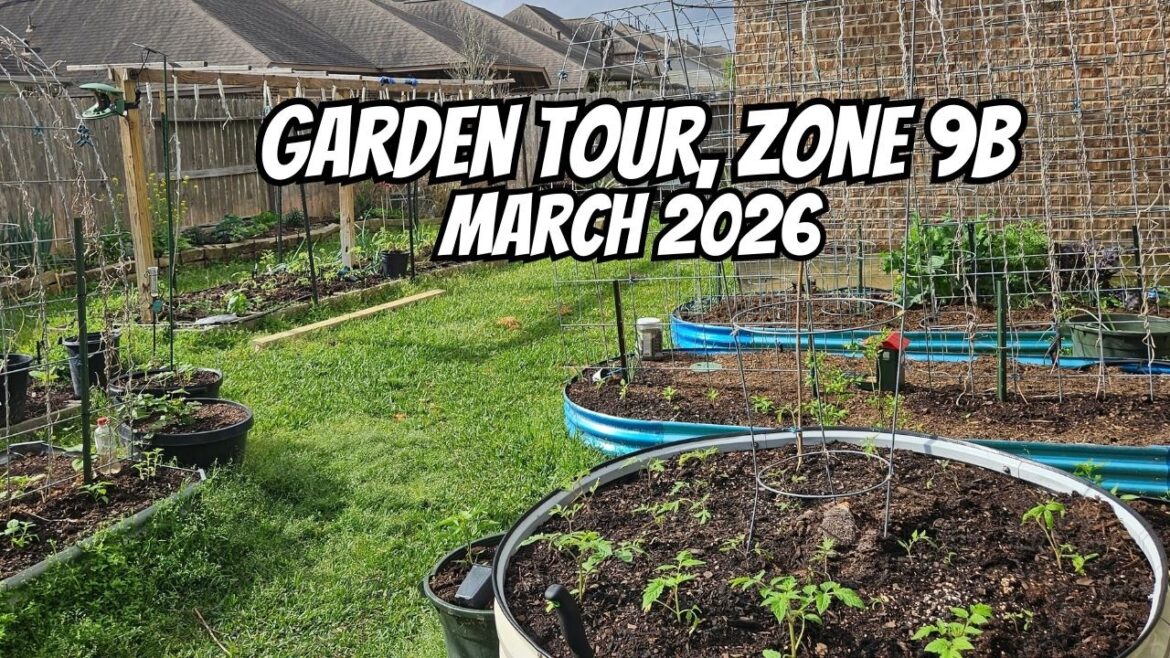 🌱 Spring Is Here… Let’s Walk the Garden! | March 2026 Garden Tour