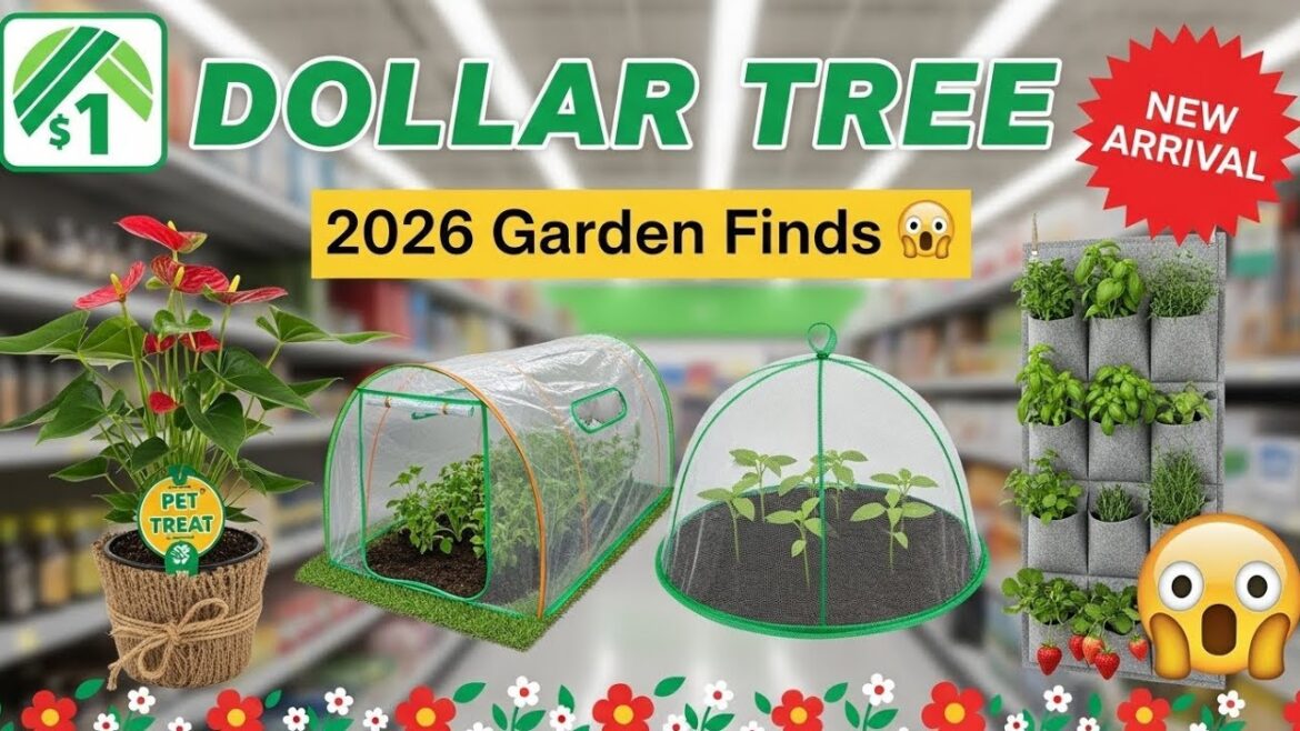 Dollar Tree’s Best Garden Finds For 2026!🪴