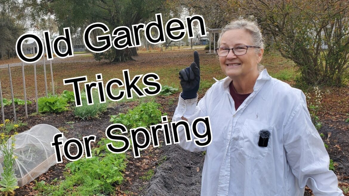 Grandma gardener shares tips and tricks for you Spring garden