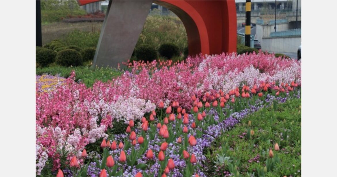 How Hangzhou turned roadside gardens into art