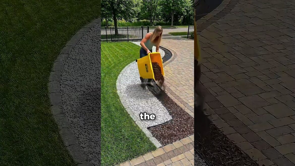 🌸 From Boring Yard to Stunning Garden in Steps! 🌿✨