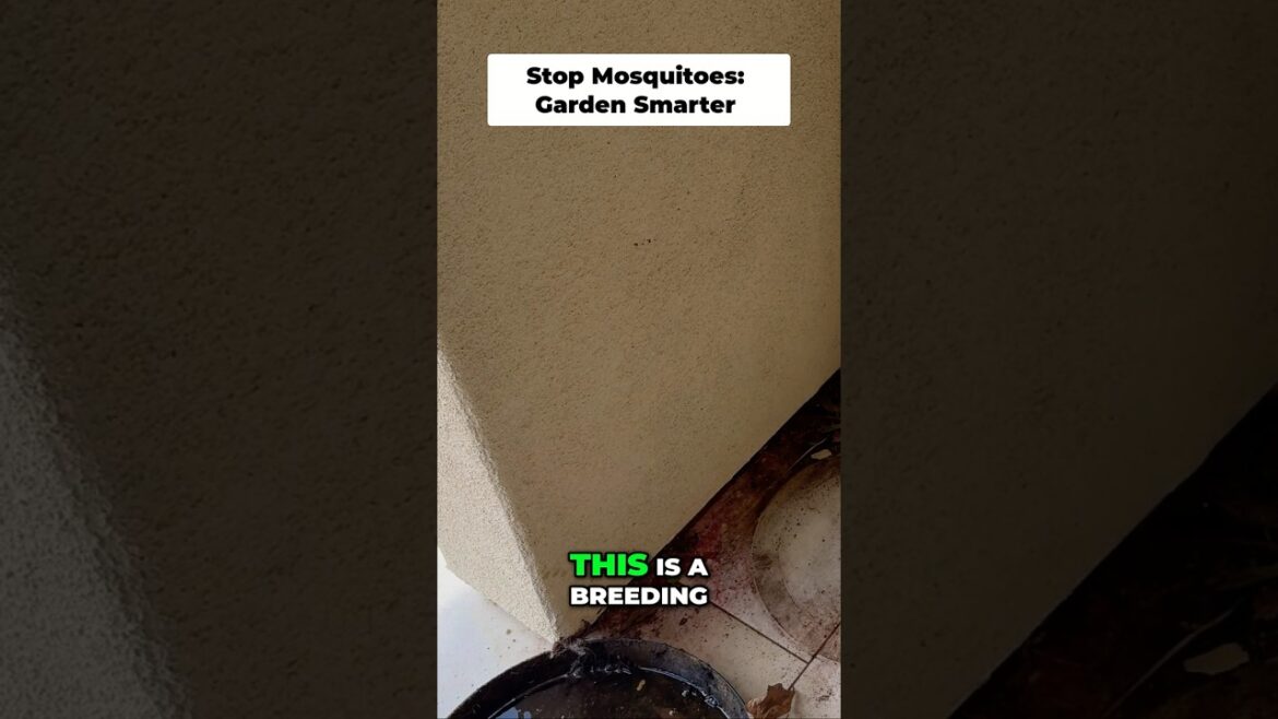 California Gardening: Stop Mosquitoes & Keep Your Patio Clean with the GreenStalk Ultimate Mover Stop Mosquitoes & Keep Your Patio Clean with the GreenStalk Ultimate Mover