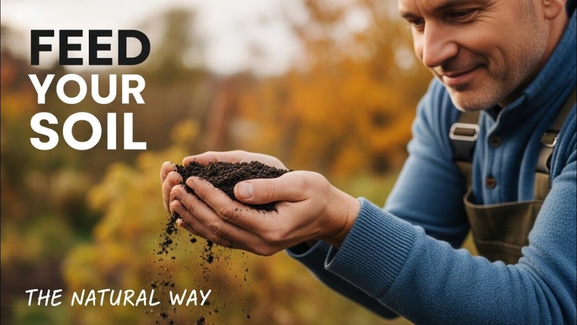 7 Soil Secrets Commercial Growers Never Share (And Why Your Container Garden Is Paying The Price)