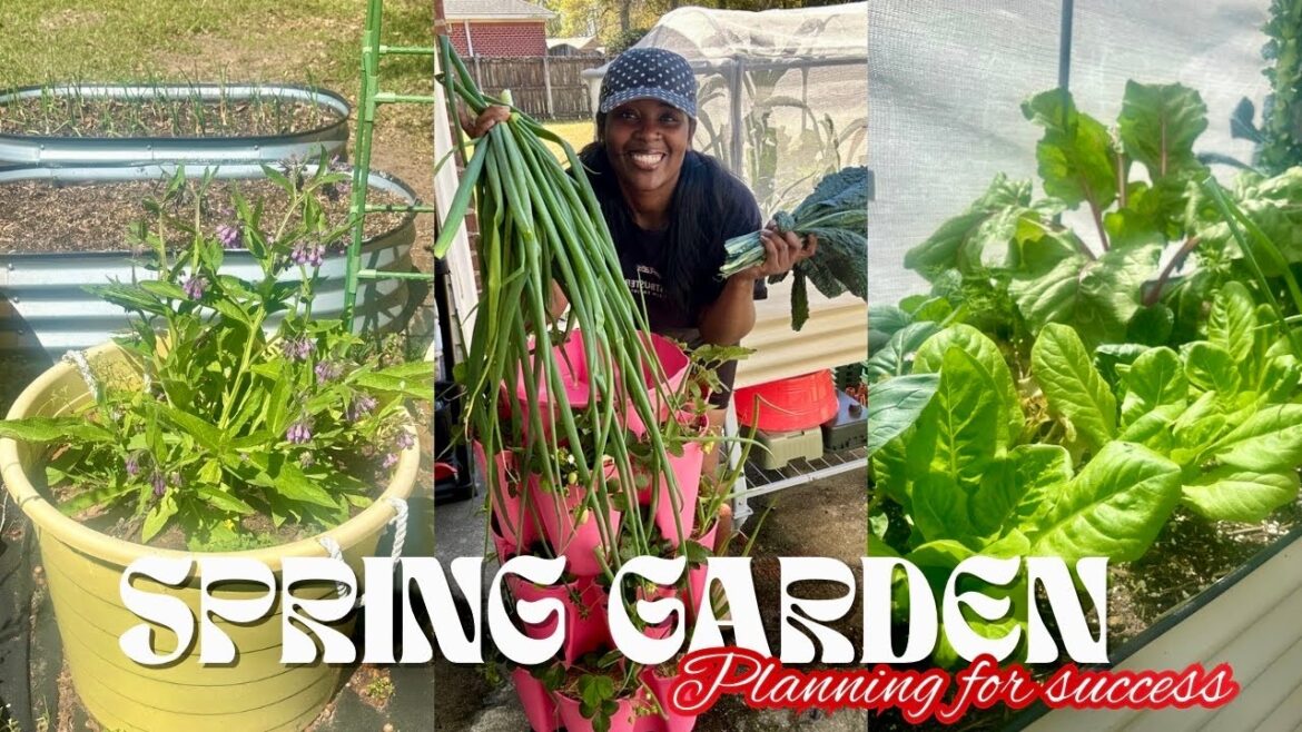 Garden Glow-Up! 🌱 Harvesting + Soil Fix & EZ Cube Self-Watering Planter Plans