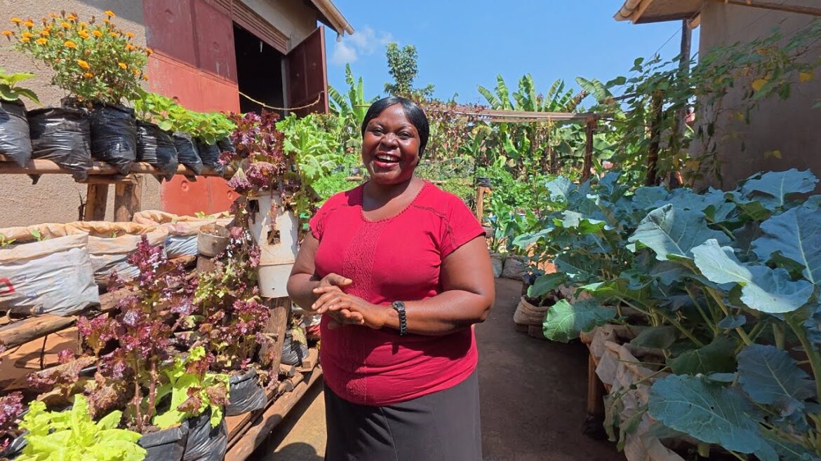 No Land, No Problem: This Ugandan Woman Feeds a Village With Just Her Tiny Backyard Garden No Land, No Problem: This Ugandan Woman Feeds a Village With Just Her Tiny Backyard Garden