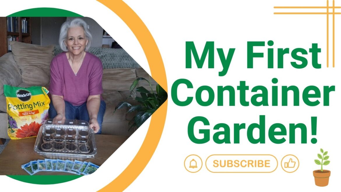 Starting My First Container Garden on a Budget 🌱 Seed Starting for Beginners Starting My First Container Garden on a Budget 🌱 Seed Starting for Beginners