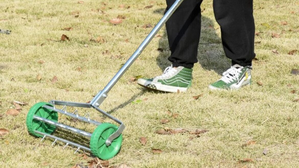 Shoppers praise ‘good value’ gardening tool to revive and help garden maintenance Wales Online